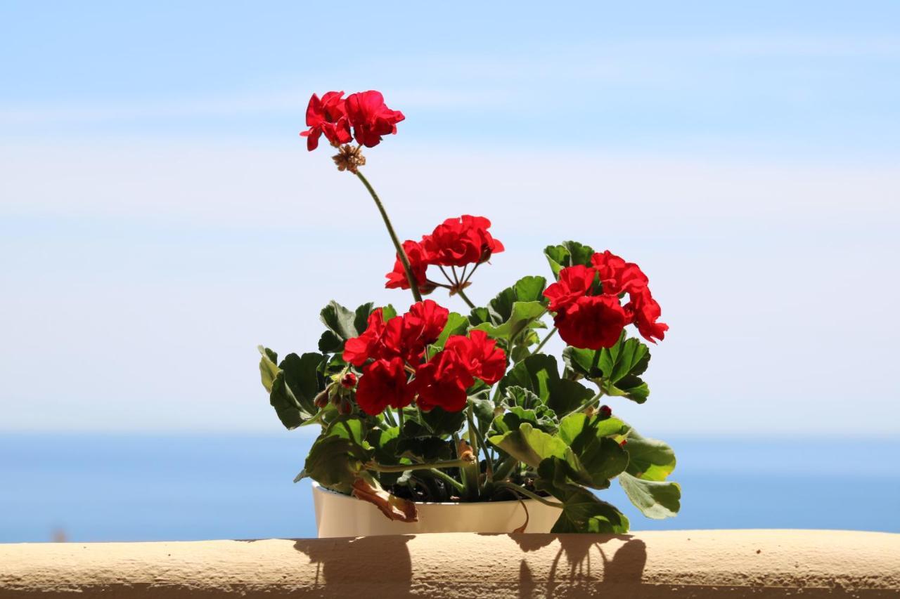 Amazing Sea View Lejlighed Fuengirola Eksteriør billede